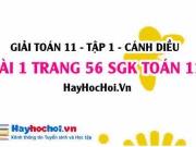 Giải bài 1 trang 56 Toán 11 tập 1 SGK Cánh Diều